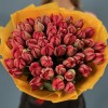 51 красный пионовидный тюльпан  Ред Принц